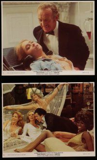 6h179 OLD DRACULA 3 8x10 mini LCs '75 David Niven as the vampire Count with lots of sexy girls!