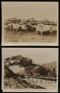 6h888 THUNDERBOLT 4 8x10 stills '47 really cool WWII fighter planes, bombing damage and sheep!