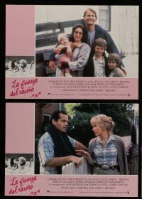 6s076 TERMS OF ENDEARMENT 12 Spanish LCs '83 Debra Winger, Jack Nicholson, MacLaine, Jeff Daniels!