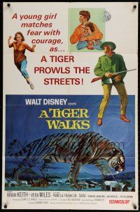 6t823 TIGER WALKS style A 1sh '64 Walt Disney, art of Brian Keith standing by huge prowling tiger!