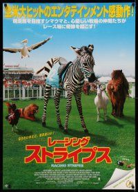 6z684 RACING STRIPES DS Japanese 29x41 '05 racing zebra, dog, horse, goat, rooster and pelican!