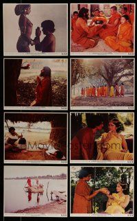 7d100 LOT OF 100 SIDDHARTHA MINI LCS AND BLACK & WHITE 8x10 STILLS '73 great images!