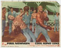7j146 COOL HAND LUKE LC #1 '67 Paul Newman gets a merciless beating boxing with George Kennedy!