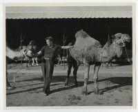7m154 BEN-HUR candid deluxe 8.25x10 still '60 Charlton Heston in street clothes w/ camels in Rome!