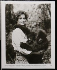 7s303 GORILLAS IN THE MIST 80 8x10 stills '88 Sigourney Weaver as Dian Fossey, in the jungle!
