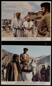 7s166 HORSEMEN 3 color 8x10 stills '71 John Frankenheimer directed, Omar Sharif, Jack Palance!