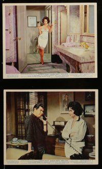 7s250 BUTTERFIELD 8 6 color English FOH LCs '60 images of sexy callgirl Elizabeth Taylor, Harvey!