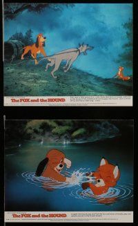 7s193 FOX & THE HOUND 8 color English FOH LCs '81 Disney, they were supposed to be enemies!