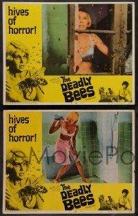 7w176 DEADLY BEES 8 LCs '67 hives of horror, fatal stings, image of sexy near-naked girl attacked!