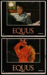 7w214 EQUUS 8 LCs '77 Richard Burton, Jenny Agutter, Peter Firth, directed by Sidney Lumet!