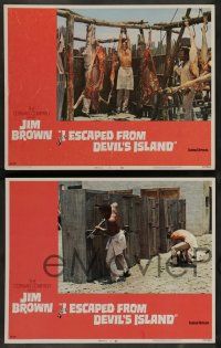 7w331 I ESCAPED FROM DEVIL'S ISLAND 8 LCs '73 Jim Brown, William Witney African thriller!