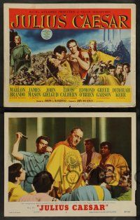 7w359 JULIUS CAESAR 8 LCs '53 Marlon Brando, James Mason & Greer Garson, Shakespeare