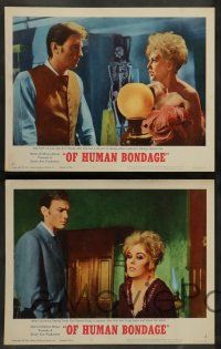 7w493 OF HUMAN BONDAGE 8 LCs '64 sexy Kim Novak, Laurence Harvey, directed by Bryan Forbes!
