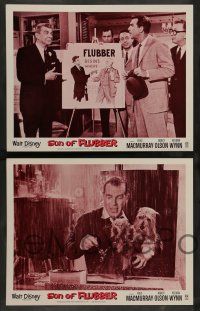 7w623 SON OF FLUBBER 8 LCs R74 Walt Disney, absent-minded professor Fred MacMurray!