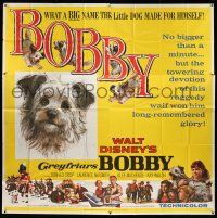8g420 GREYFRIARS BOBBY 6sh '61 Walt Disney, huge close up art of cute tiny Skye Terrier!