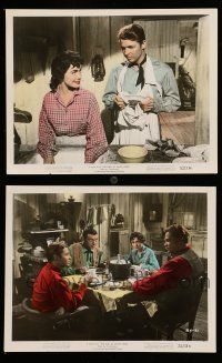 8h104 DUEL AT SILVER CREEK 2 color 8x10 stills '52 Audie Murphy, Stephen McNally, Domergue, poker!