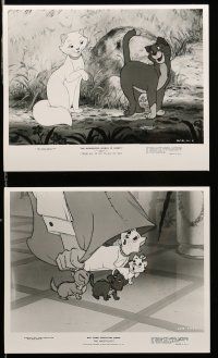 8h259 ARISTOCATS 14 8x10 stills '71 Walt Disney feline jazz musical cartoon, great cat images!