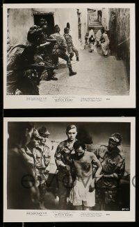 8h858 BATTLE OF ALGIERS 4 8x10 stills '68 directed by Gillo Pontecorvo, different war images!