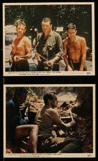 8h006 BRIDGE ON THE RIVER KWAI 12 color 8x10 stills '58 William Holden, David Lean directed classic