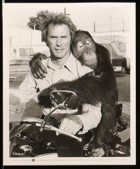 8h122 EVERY WHICH WAY BUT LOOSE 35 8x10 stills '78 Clint Eastwood, Clyde, Ruth Gordon & Locke!