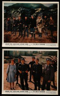 8h070 GUNS OF NAVARONE 6 color 8x10 stills '61 Gregory Peck, David Niven, Anthony Quinn, WWII!