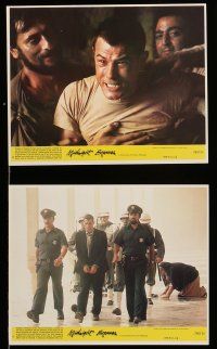 8h074 MIDNIGHT EXPRESS 6 8x10 mini LCs '78 Alan Parker, Brad Davis in prison for smuggling dope!