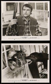 8h118 PACK 37 8x10 stills '77 Joe Don Baker, vicious attack dog horror images!
