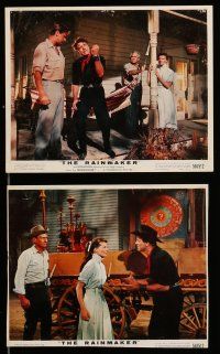 8h076 RAINMAKER 6 color 8x10 stills '56 Lloyd Bridges, Burt Lancaster & Katharine Hepburn!