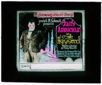 8m177 HAYSEED glass slide '19 written & directed by star Roscoe Fatty Arbuckle!