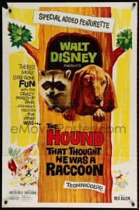 8p447 HOUND THAT THOUGHT HE WAS A RACCOON 1sh '60 Disney, wacky art of animals in tree!