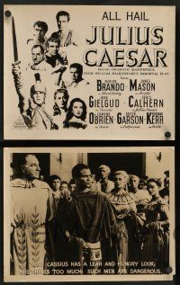 8r064 JULIUS CAESAR 8 Aust LCs '53 Marlon Brando, James Mason & Greer Garson, Shakespeare