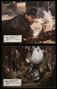 8r182 RAIDERS OF THE LOST ARK 12 French LCs '81 Harrison Ford, Karen Allen, Lucas & Spielberg!