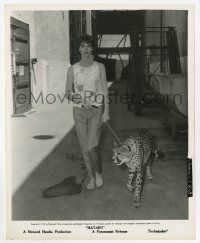 8s329 HATARI candid 8.25x10 still '62 Elsa Martinelli takes the cheetah for a walk between scenes!