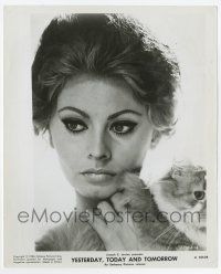 8s812 SOPHIA LOREN 8x10 still '64 close up holding cat in Yesterday, Today & Tomorrow!