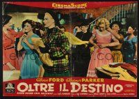 8t171 INTERRUPTED MELODY Italian photobusta '55 Glenn Ford, Eleanor Parker as Marjorie Lawrence!