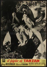8t190 TARZAN FINDS A SON Italian photobusta R50s best c/u of Johnny Weissmuller & Johnny Sheffield