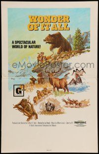 8y292 WONDER OF IT ALL WC '74 grizzly bear vs mountain lion, a spectacular world of nature!