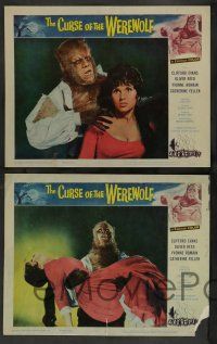 8z140 CURSE OF THE WEREWOLF 8 LCs '61 Hammer, Oliver Reed, Anthony Dawson, sexy Yvonne Romain!