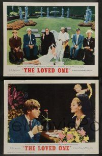 8z296 LOVED ONE 8 LCs '66 Jonathan Winters, Robert Morse, Morley, Tony Richardson black comedy!