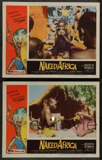 8z343 NAKED AFRICA 8 LCs '57 AIP shockumentary, primitive passions unleashed, naked natives!