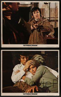 8z481 STRAW DOGS 8 LCs '72 directed by Sam Peckinpah, Dustin Hoffman & Susan George!