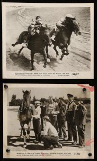9a513 BLUE BLOOD 8 8x10 stills '51 Bill Williams, Jane Nigh, great horse racing images!
