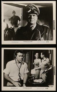 9a285 FOXHOLE IN CAIRO 16 8x10 stills '61 James Robertson Justice, Albert Leiven as Rommel!