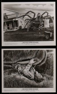 9a529 GIANT SPIDER INVASION 8 8x10 stills '75 great images of the really big bug terrorizing city!