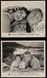 9a919 GIRL HE LEFT BEHIND 3 8x10 stills '56 great images of romantic Tab Hunter and Natalie Wood!