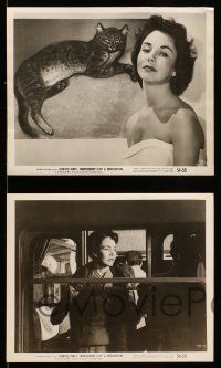 9a795 INDISCRETION OF AN AMERICAN WIFE 5 8x10 stills '54 cool & sexy images of Jennifer Jones!