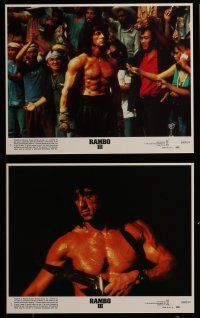 9a136 RAMBO III 8 8x10 mini LCs '88 Sylvester Stallone returns as John Rambo, cool images, Crenna!