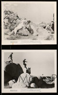 9a842 TRIGGER JR. 5 8x10 stills '50 more Rogers thrill-loaded action, western and circus action!