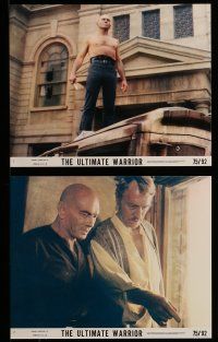 9a162 ULTIMATE WARRIOR 8 8x10 mini LCs '75 Yul Brynner, Max Von Sydow, a film of the future!