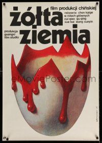9b617 YELLOW EARTH Polish 27x38 '86 creepy Wieslaw Walkuski art of bloody egg shell!